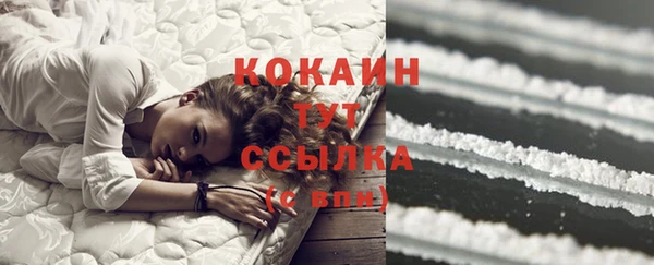 сатива Вязники