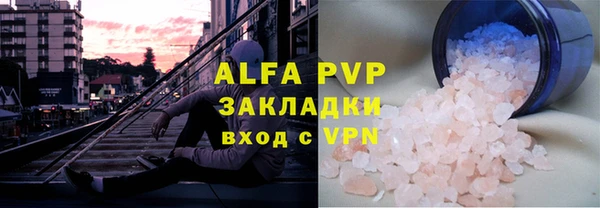 стафф Вязьма