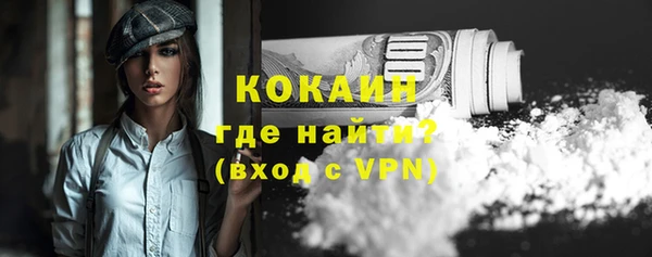 стафф Вязьма