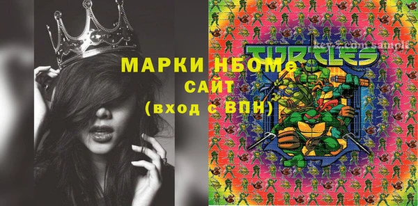стафф Вязьма