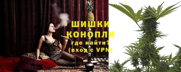 сатива Вязники