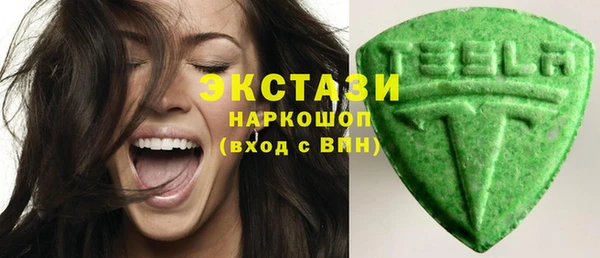 стаф Горняк