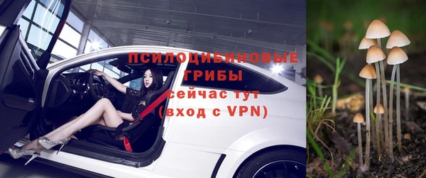 стаф Горняк