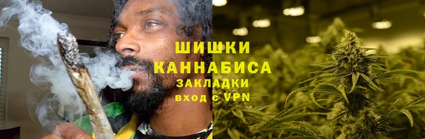 сатива Вязники