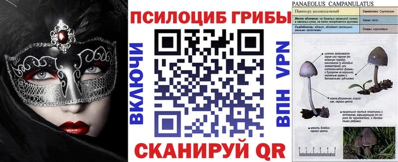 Псилоцибиновые грибы GOLDEN TEACHER  Смоленск 